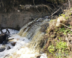Dūkupju ūdenskritums 2017.05.20. Edgara Ražinska foto.