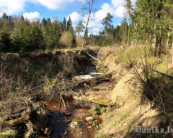 Dūkupju ūdenskritums un grava 2017.05.20. Edgara Ražinska foto.