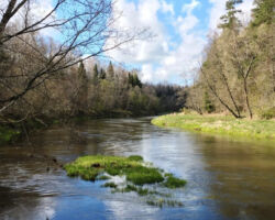 Bārtas upes skats 2017.05.20. Edgara Ražinska foto.