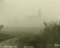 Bārtas baznīca miglainā vasaras rītā.