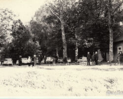 Automobiļu novietošanas laukums piepildās ar automašīnām. /Ne pajūgu, ne velosipēdu kā pirms simts gadiem/.