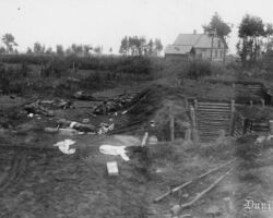 Kritušie krievu armijas karavīri ierakumos pie Rīgas, 1917. gada septembris.