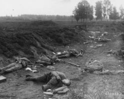 Bojā gājušie krievu karavīri vācu uzbrukumā līnijā uz Rīgu, 1917. gada septembris.