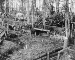 Vācu karaspēks ieņemtajos krievu ierakumos mežā pie Jakobstadt (Jēkabpils), 1917. gada septembrī.